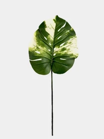 Искуственный лист "Monstera Alba", 78 см Engard модель TW-55 Фото