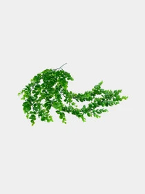 Искусственная ветка "Самшит", 80 см Engard модель TW-30 Фото