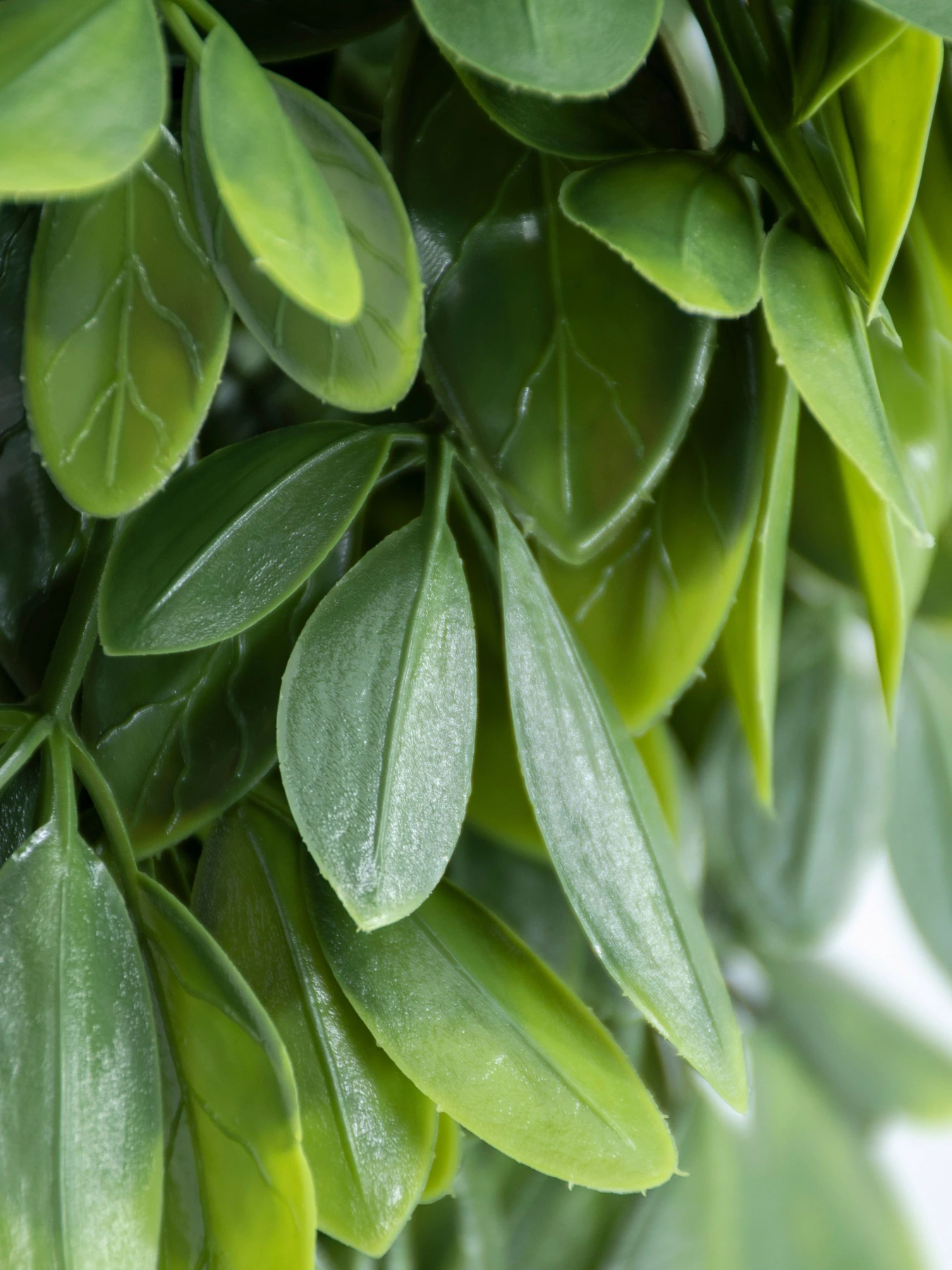 Искусственная ветка "Schefflera" Engard модель AV-02 Искусственная ветка "Schefflera" Engard модель AV-02 Фото