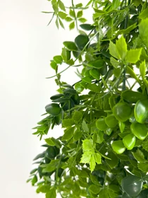 Искусственная ветка "Eucalyptus" Engard модель AV-03 Фото