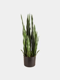 Штучна рослина "Sansevieria" Engard модель DW-10 Фото