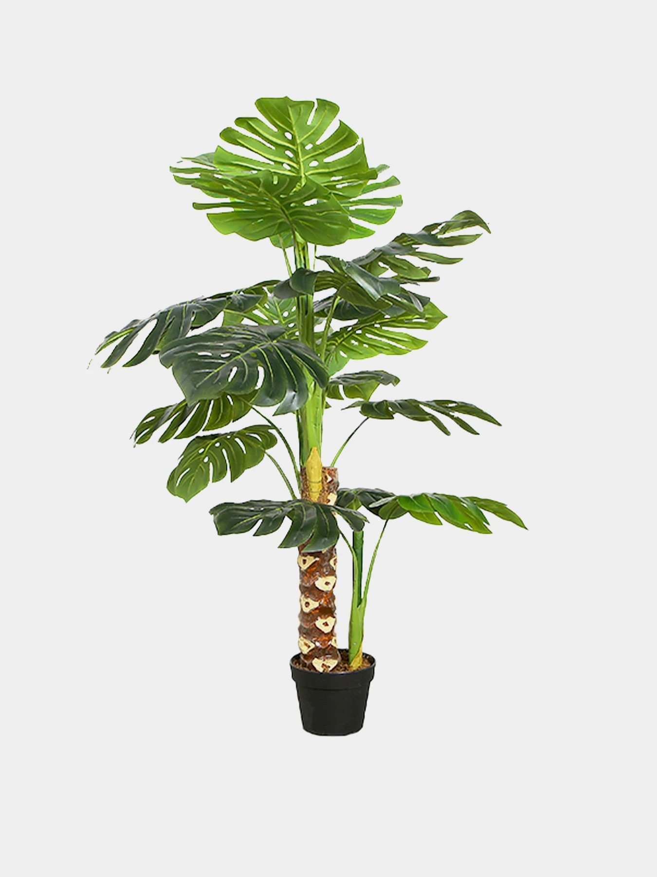Штучна рослина "Monstera" Engard модель DW-21 Штучна рослина "Monstera" Engard модель DW-21 Фото