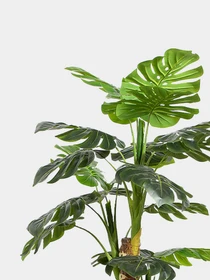 Штучна рослина "Monstera" Engard модель DW-21 Фото