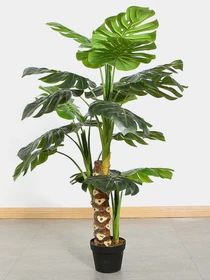 Штучна рослина "Monstera" Engard модель DW-21 Фото