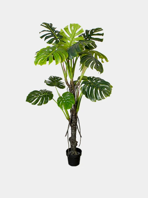 Искусственное растение "Monstera" Engard модель DW-22 Фото