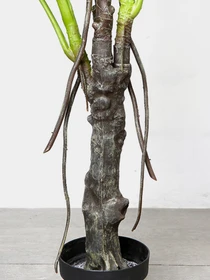 Штучна рослина "Monstera" Engard модель DW-22 Фото