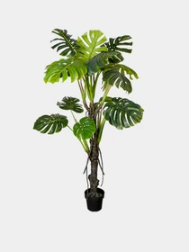 Штучна рослина "Monstera" Engard модель DW-22 Фото