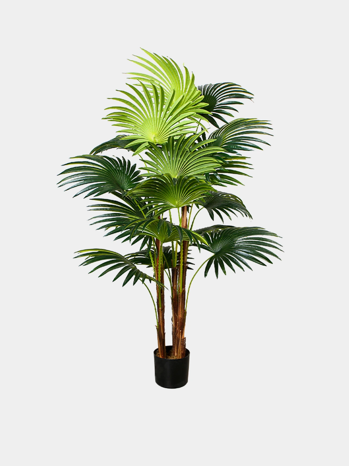Штучна рослина "Cycas Palm" Engard модель DW-23 Штучна рослина "Cycas Palm" Engard модель DW-23 Фото