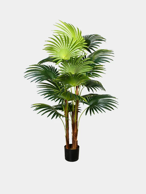 Искусственное растение "Cycas Palm" Engard модель DW-23 Фото