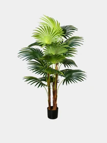 Штучна рослина "Cycas Palm" Engard модель DW-23 Фото