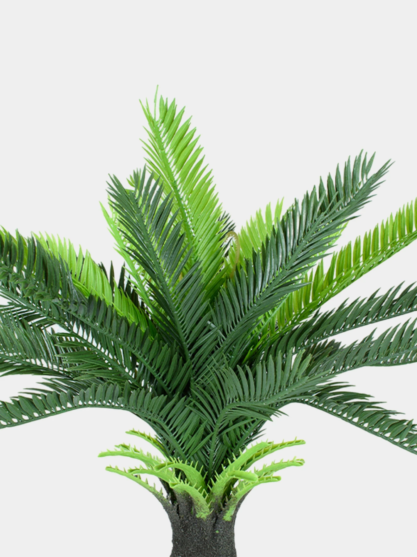 Штучна рослина "Cycas Palm" Engard модель DW-24 Штучна рослина "Cycas Palm" Engard модель DW-24 Фото