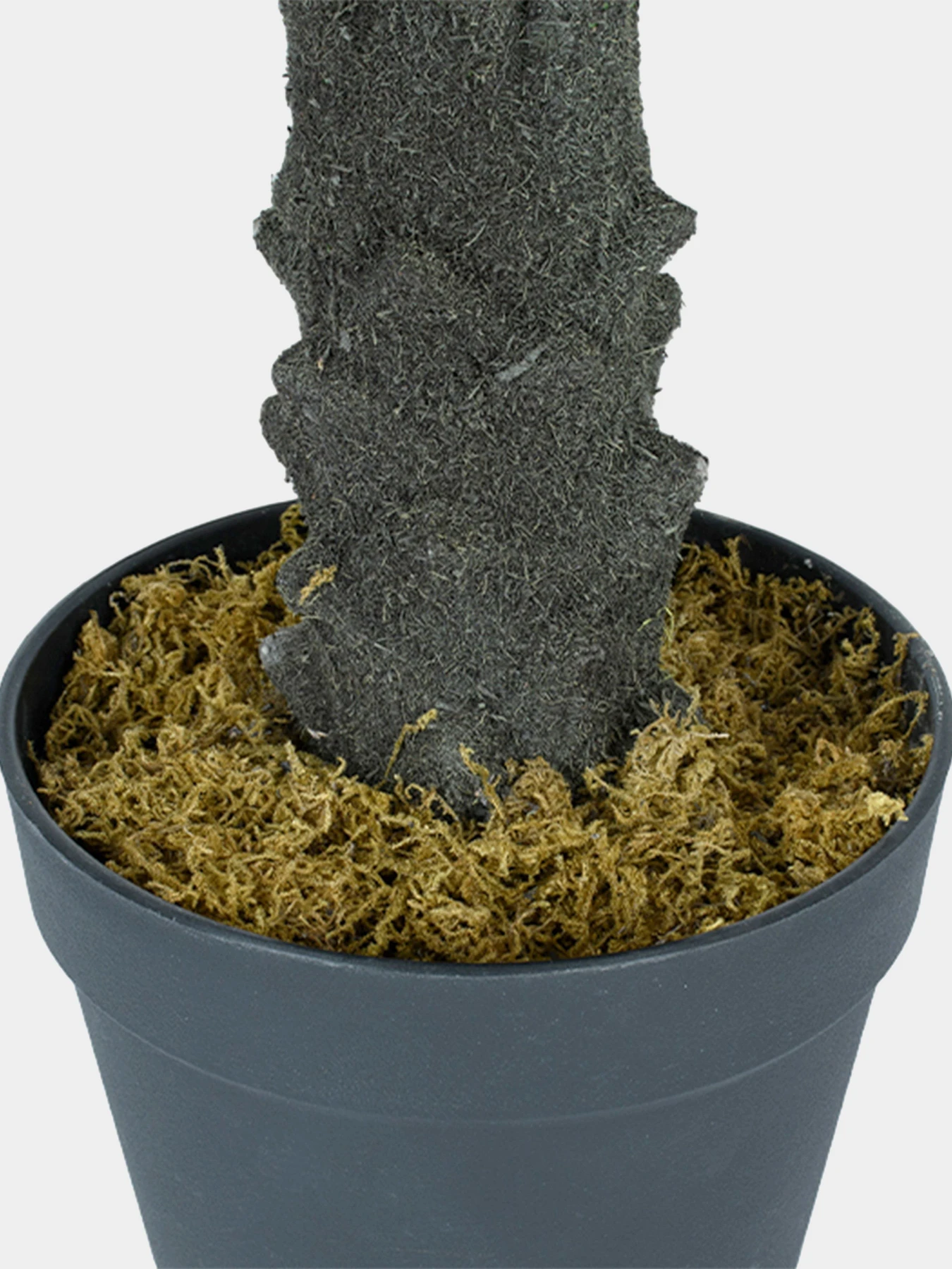Штучна рослина "Cycas Palm" Engard модель DW-24 Штучна рослина "Cycas Palm" Engard модель DW-24 Фото