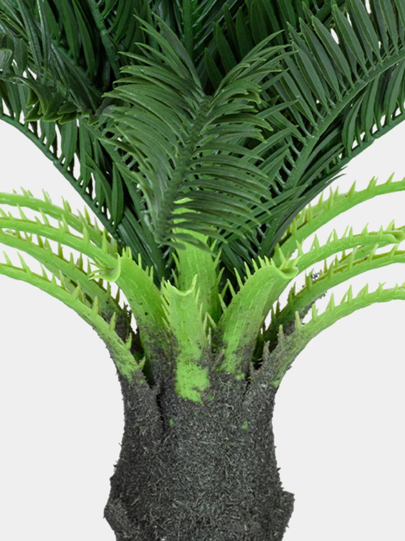 Штучна рослина "Cycas Palm" Engard модель DW-24 Штучна рослина "Cycas Palm" Engard модель DW-24 Фото
