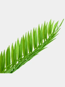 Штучна рослина "Cycas Palm" Engard модель DW-24 Фото
