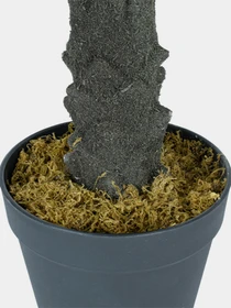 Штучна рослина "Cycas Palm" Engard модель DW-24 Фото