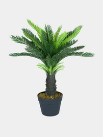 Штучна рослина "Cycas Palm" Engard модель DW-24 Фото