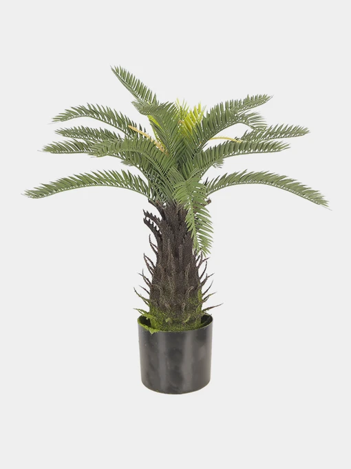 Искусственное растение "Cycas Palm" Engard модель DW-25 Фото