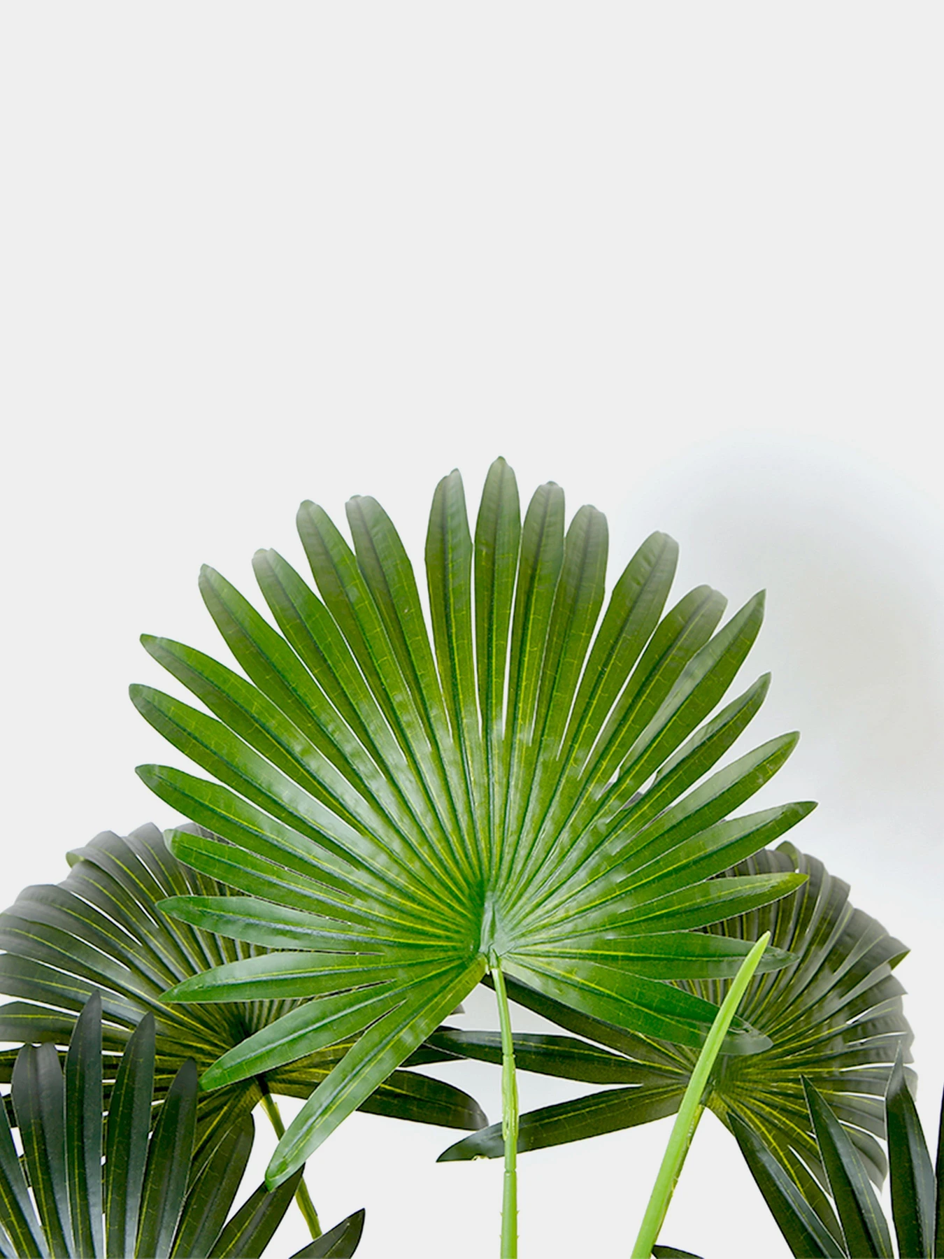Искусственное растение "Fan Palm" Engard модель DW-26 Искусственное растение "Fan Palm" Engard модель DW-26 Фото