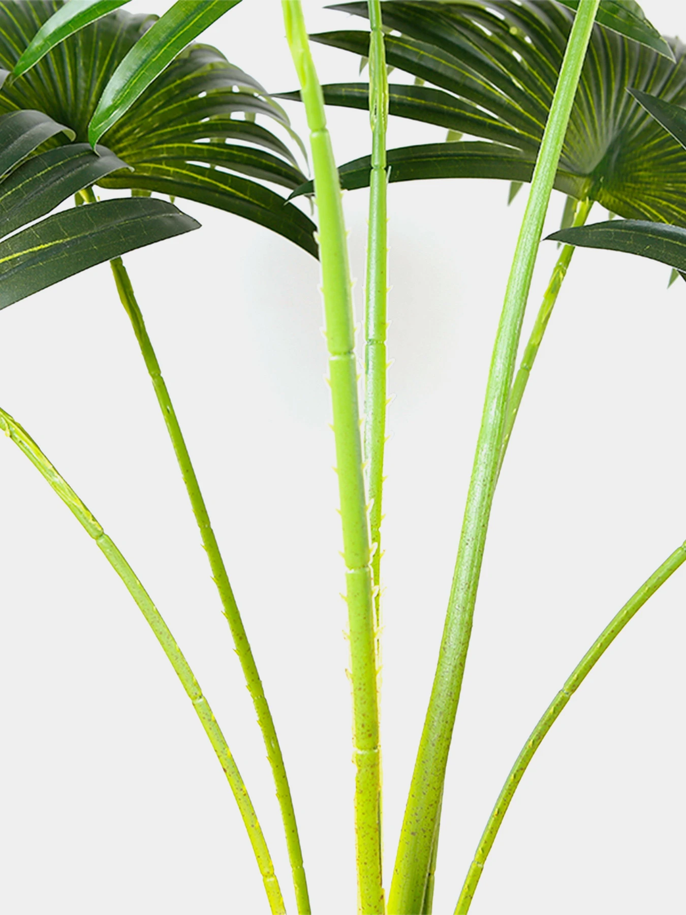 Искусственное растение "Fan Palm" Engard модель DW-26 Искусственное растение "Fan Palm" Engard модель DW-26 Фото