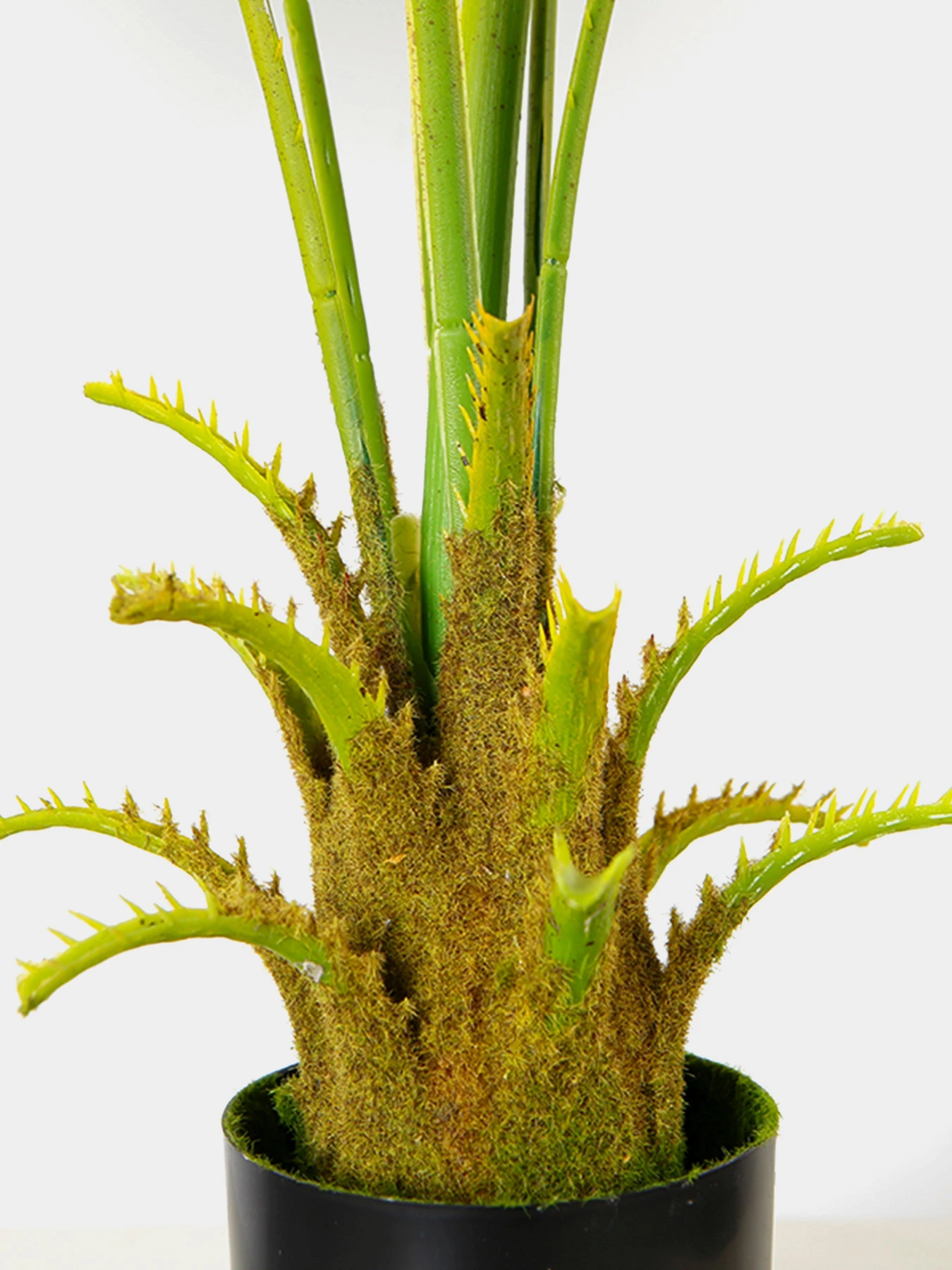 Искусственное растение "Fan Palm" Engard модель DW-26 Искусственное растение "Fan Palm" Engard модель DW-26 Фото