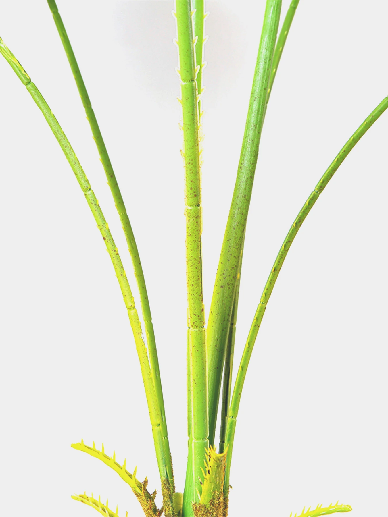 Искусственное растение "Fan Palm" Engard модель DW-26 Искусственное растение "Fan Palm" Engard модель DW-26 Фото