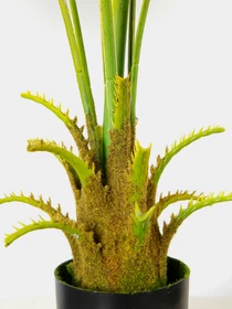 Искусственное растение "Fan Palm" Engard модель DW-26 Фото