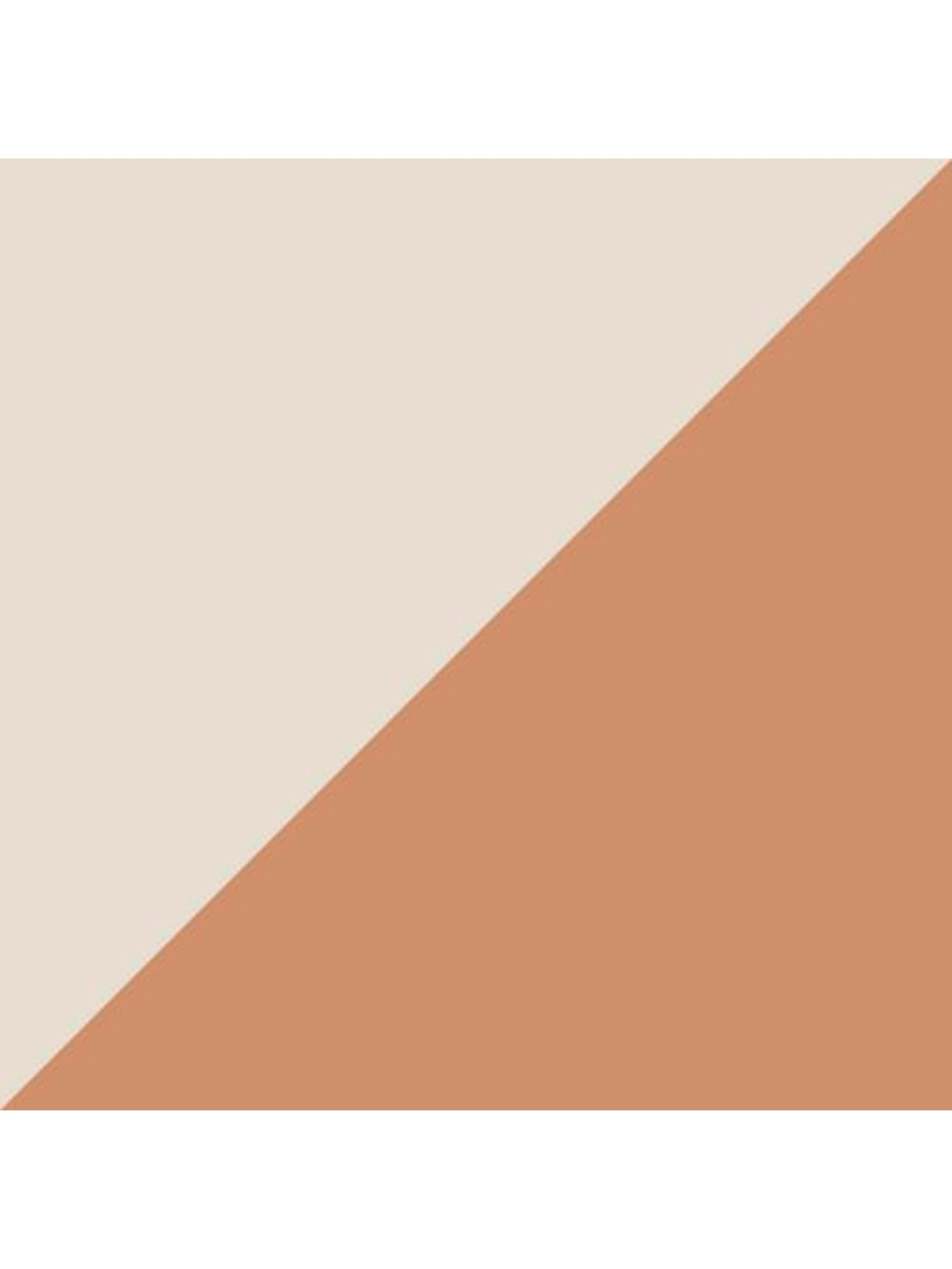 Носки и гольфы PUMA Women Rib Sock 2p модель 907808 Носки и гольфы PUMA Women Rib Sock 2p модель 907808 Фото