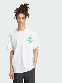 Футболки і поло Adidas Graphics модель JD0677 Фото