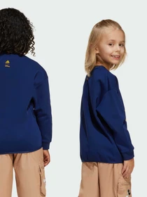 Худи и свитшоты Adidas x Disney модель JD4550 Фото