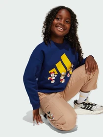 Худи и свитшоты Adidas x Disney модель JD4550 Фото