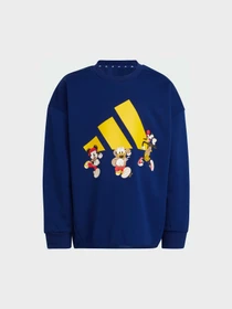 Худи и свитшоты Adidas x Disney модель JD4550 Фото