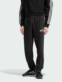 Брюки Adidas Graphics модель JP4487 Фото