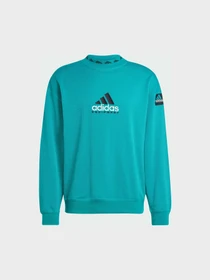 Худі та світшоти Adidas EQT модель JN7146 Фото