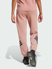 Брюки Adidas 3 Stripes модель JE0160 Фото