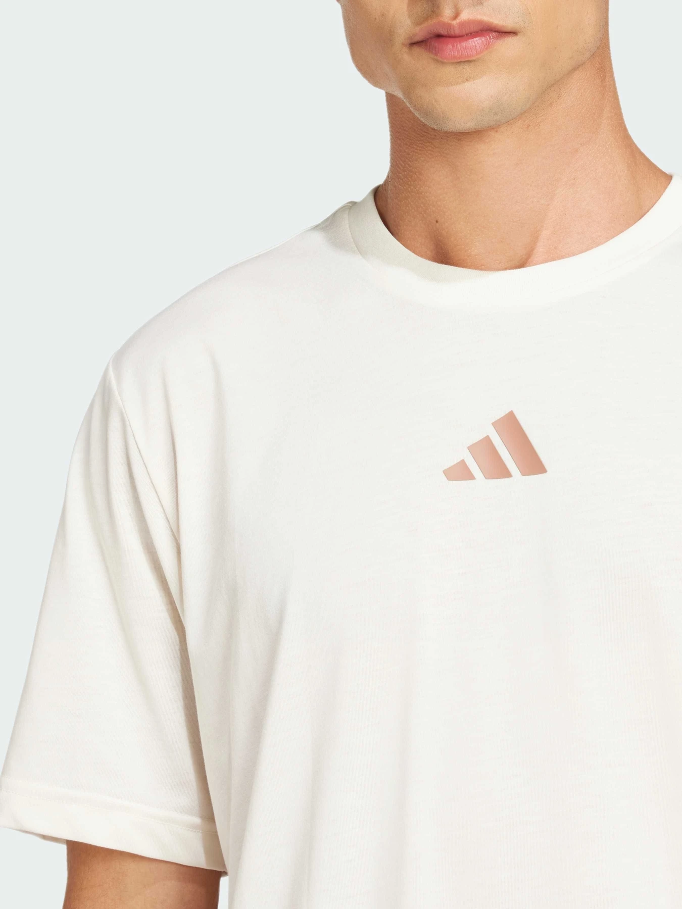 Футболки и поло Adidas модель JJ1447 Футболки и поло Adidas модель JJ1447 Фото