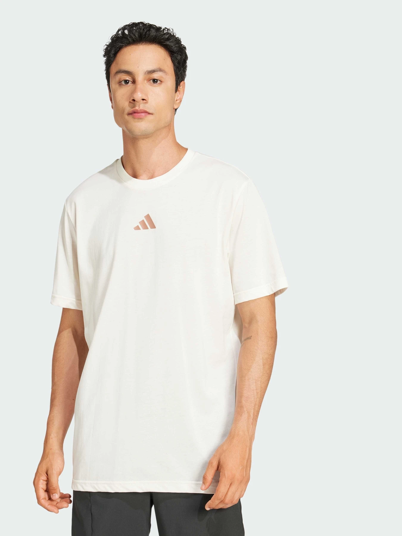 Футболки и поло Adidas модель JJ1447 Футболки и поло Adidas модель JJ1447 Фото