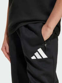 Брюки Adidas ZNE модель JD0006 Фото