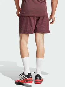 Шорты Adidas модель JL8667 Фото