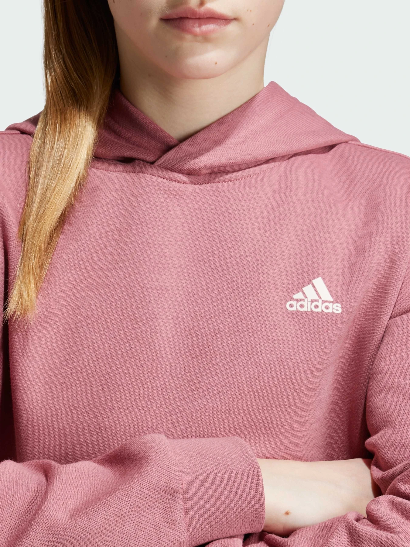 Худи и свитшоты Adidas модель IX9509 Фото