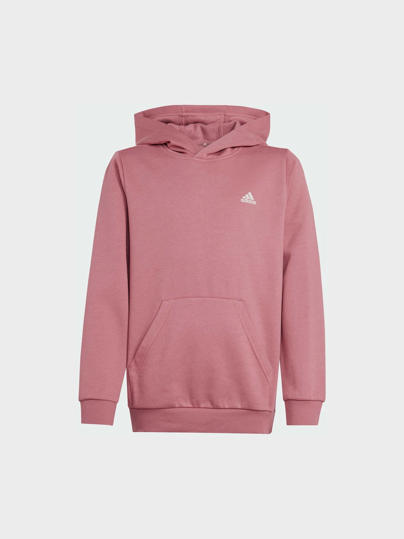 Худи и свитшоты Adidas модель IX9509 Фото