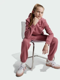 Худи и свитшоты Adidas модель IX9509 Фото