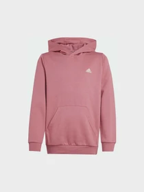 Худи и свитшоты Adidas модель IX9509 Фото
