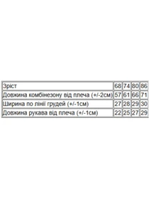 Комбинезоны Носи своє модель 5001-025-33-4-sro-blakitnij-baby Фото