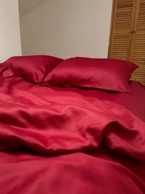 Комплект постільної білизни класичний винний Cozy модель 11781261 Фото