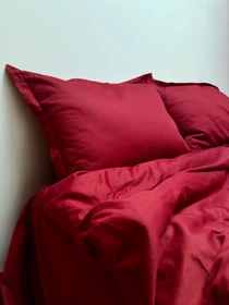 Комплект постільної білизни класичний винний Cozy модель 11781261 Фото