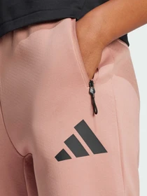 Брюки Adidas ZNE модель JD5995 Фото