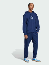 Худи и свитшоты Adidas Graphics модель JD3312 Фото