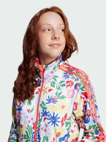 Худи и свитшоты Adidas модель JD0512 Фото