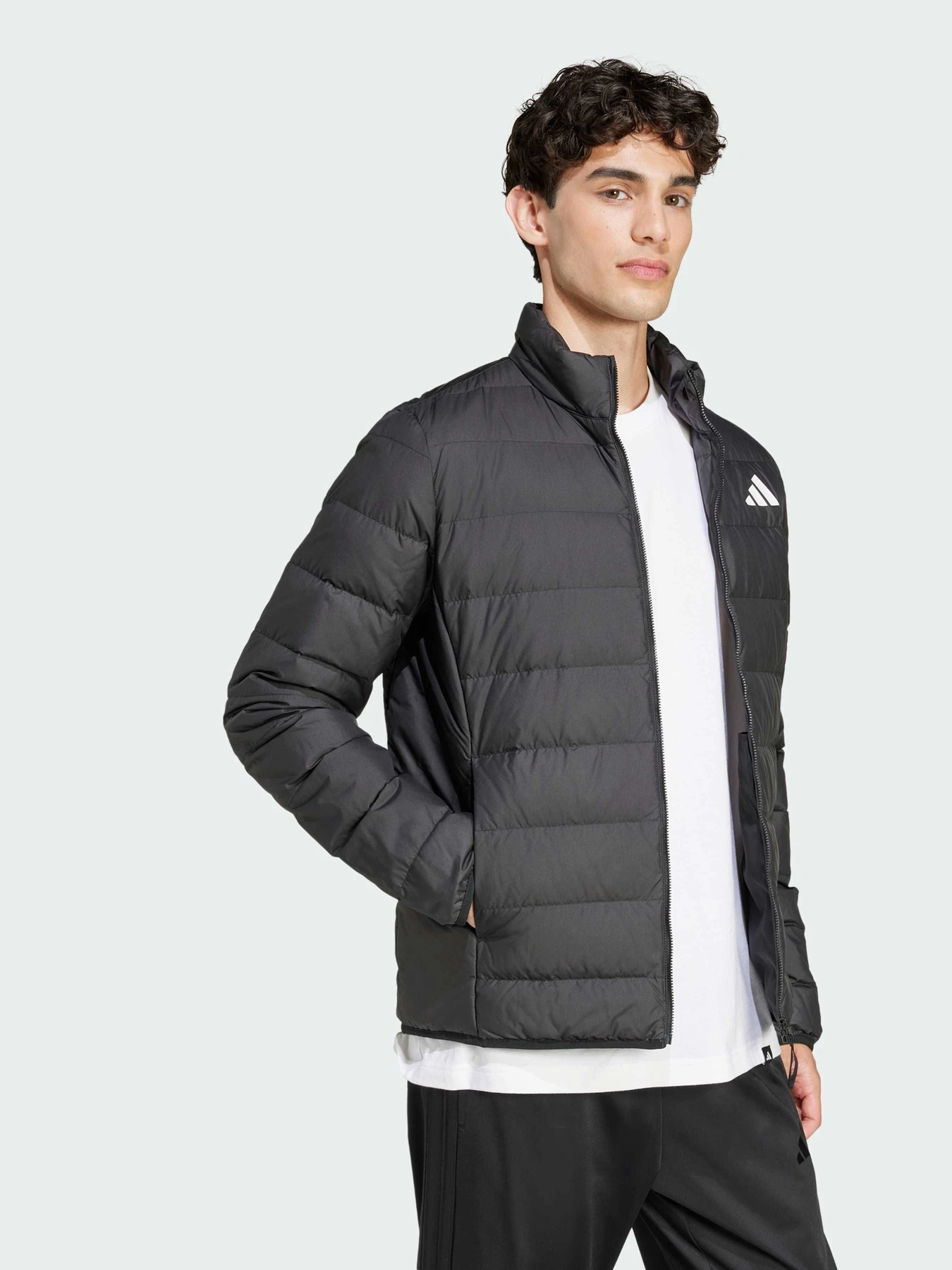 Куртки и дубленки Adidas модель JD1046 Куртки и дубленки Adidas модель JD1046 Фото