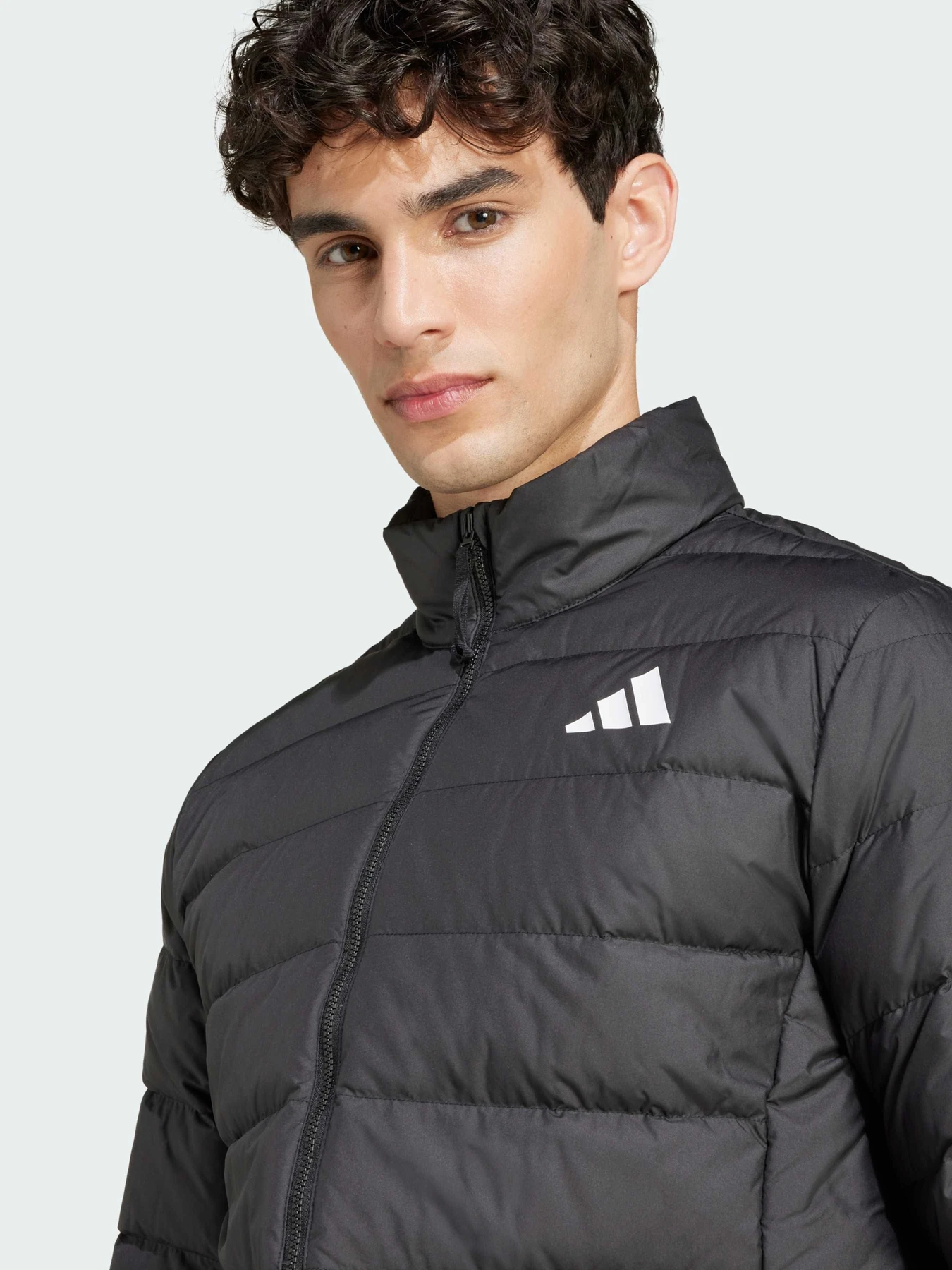 Куртки и дубленки Adidas модель JD1046 Куртки и дубленки Adidas модель JD1046 Фото